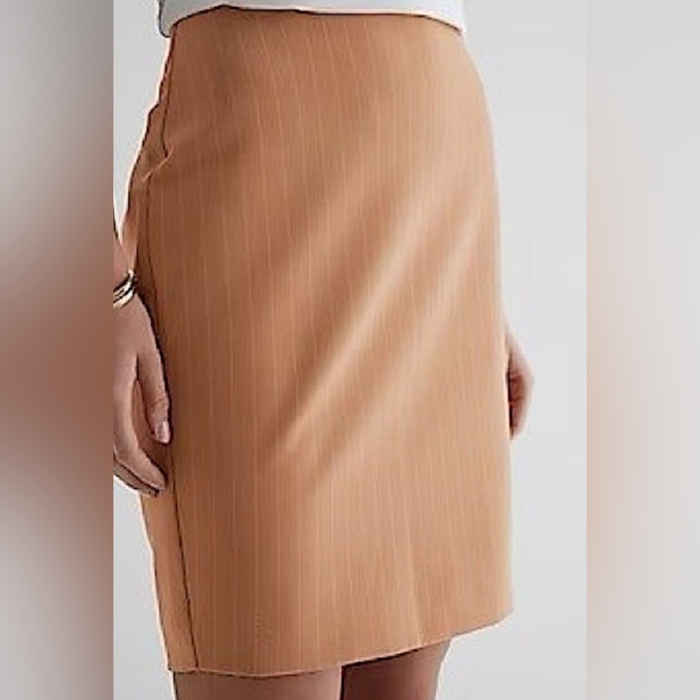 Express Editor Pin Stripe Skirt